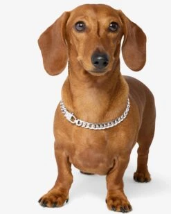 Thor Cuban Chain Pet Necklace 10.8mm - Silver