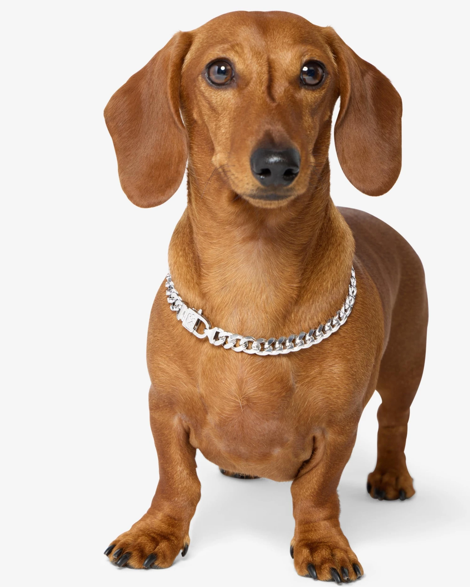 Thor Cuban Chain Pet Necklace 10.8mm - Silver 3 Thor Cuban Chain Pet Necklace 10.8mm - Silver