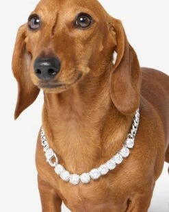 Thor Loves Diamonds Pet Necklace - Silver|White Diamondettes -Melinda Maria Dodger Royaltennispet E G Thorelovediamonds S 15 V2