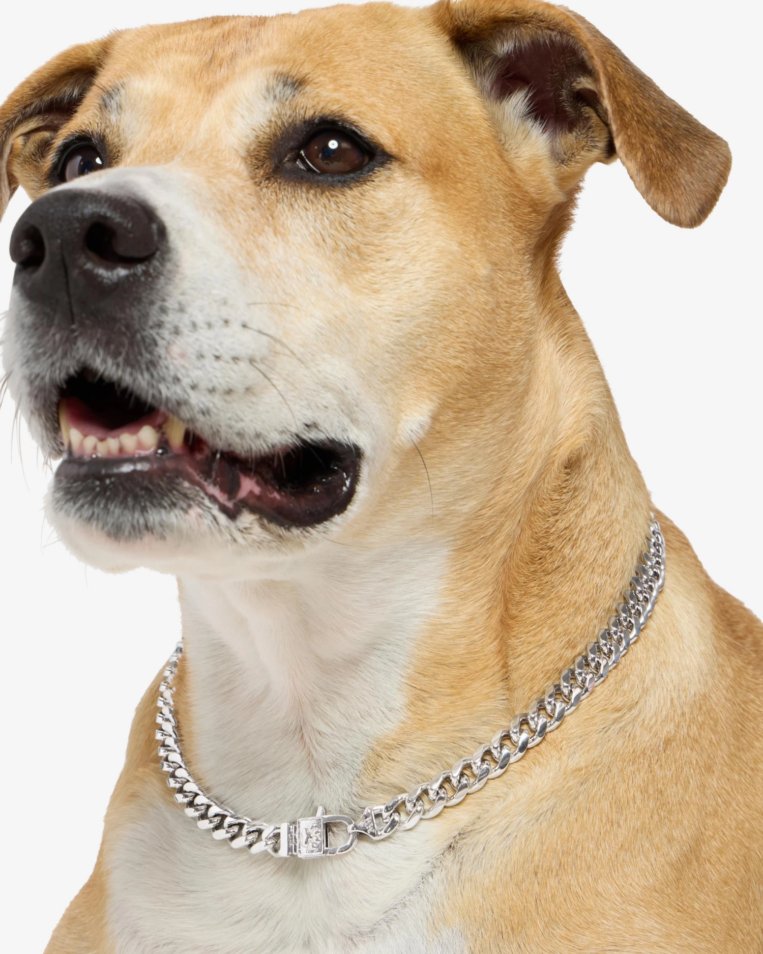 Thor Cuban Chain Pet Necklace 10.8mm - Silver 11 Thor Cuban Chain Pet Necklace 10.8mm - Silver - Image 9