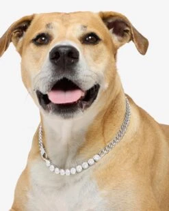 Thor Loves Diamonds Pet Necklace - Silver|White Diamondettes