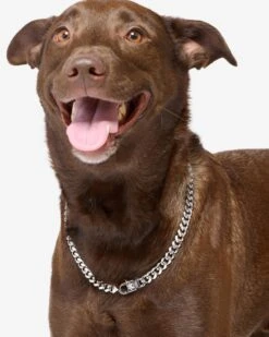 Thor Cuban Chain Pet Necklace 10.8mm - Silver 24 Thor Cuban Chain Pet Necklace 10.8mm - Silver -Melinda Maria Marcello ThorCubanChainPetNecklace10.8mm PN6406S22 V1