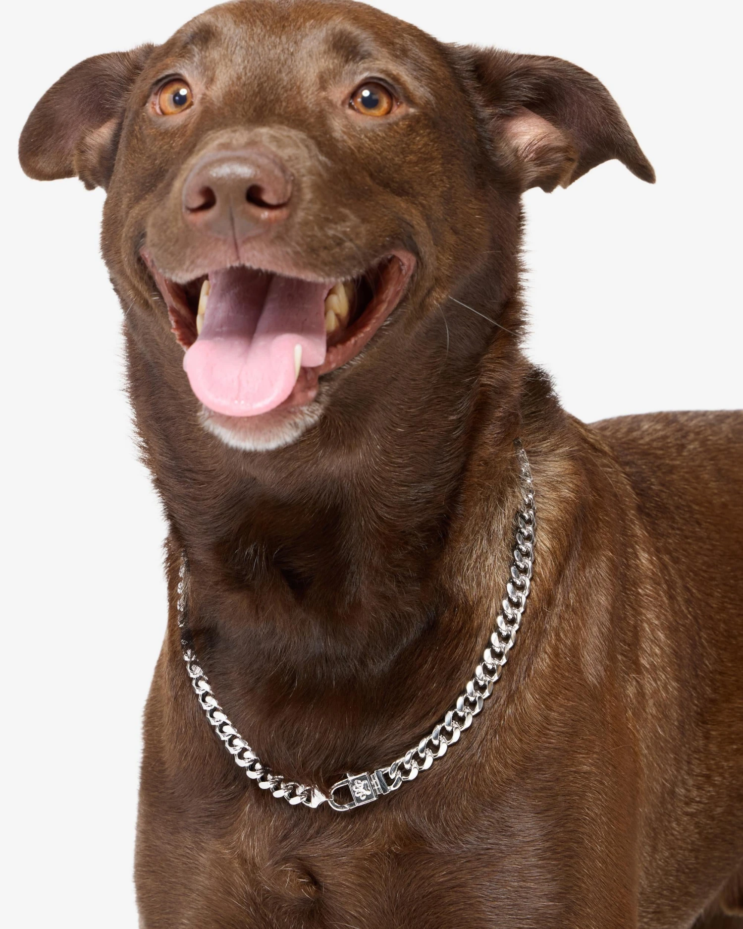 Thor Cuban Chain Pet Necklace 10.8mm - Silver 13 Thor Cuban Chain Pet Necklace 10.8mm - Silver - Image 11