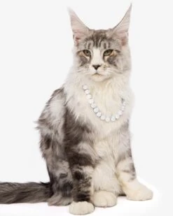 Royal Pet Tennis Necklace - Silver|White Diamondettes