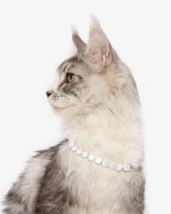 Royal Pet Tennis Necklace - Silver|White Diamondettes -Melinda Maria Marilyn RoyalPetTennisNecklace PN6404 S WTCZ12 E V2