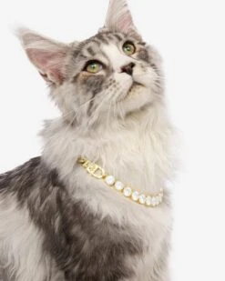Thor Loves Diamonds Pet Necklace - Gold|White Diamondettes -Melinda Maria Marilyn ThorLovesDiamondsPetNecklace PN6405 G WTCZ12 E V2
