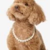 Royal Pet Tennis Necklace - Gold|White Diamondettes -Melinda Maria Ori RoyalPetTennisNecklace PN6404GWTCZ14 V1