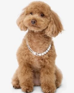 Thor Loves Diamonds Pet Necklace - Silver|White Diamondettes -Melinda Maria Ori ThorLovesDiamondsPetNecklace PN6405SWTCZ14 V2