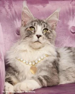 Royal Pet Tennis Necklace - Gold|White Diamondettes -Melinda Maria PDP 1