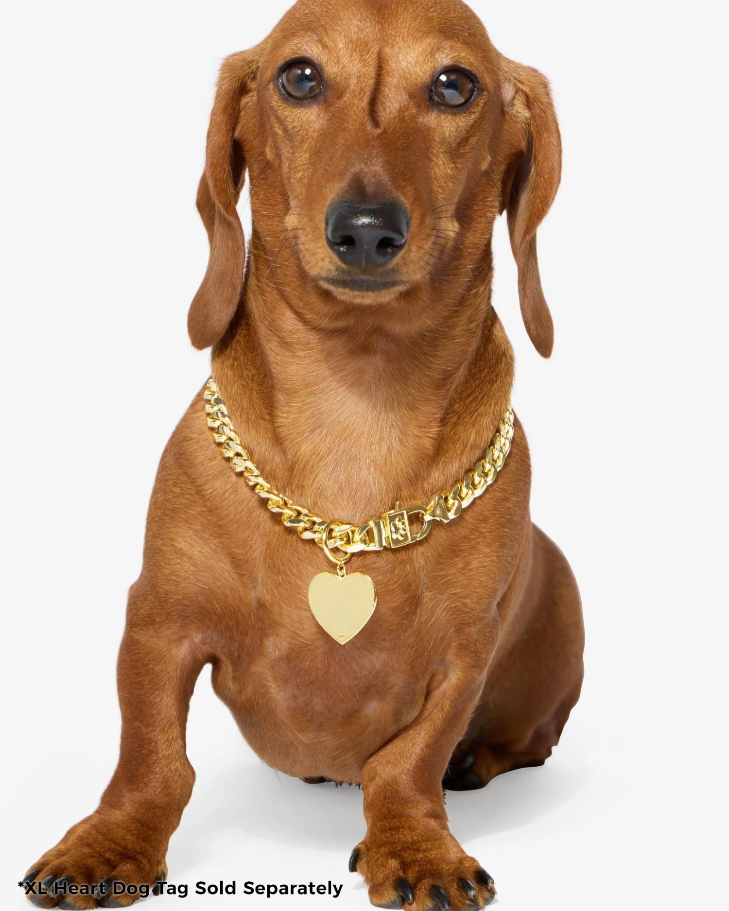 XL Heart Engravable Dog Tag - Gold 9 XL Heart Engravable Dog Tag - Gold - Image 7