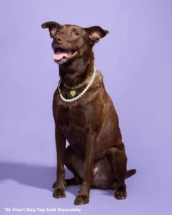 XL Heart Engravable Dog Tag - Gold 17 XL Heart Engravable Dog Tag - Gold -Melinda Maria PDP 11