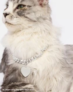 XL Heart Engravable Dog Tag - Silver