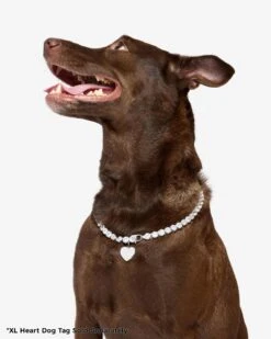 Royal Pet Tennis Necklace - Silver|White Diamondettes -Melinda Maria PDP 13
