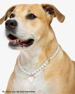 Royal Pet Tennis Necklace - Silver|White Diamondettes -Melinda Maria PDP 14
