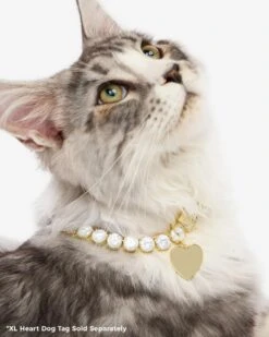 Royal Pet Tennis Necklace - Gold|White Diamondettes -Melinda Maria PDP 2