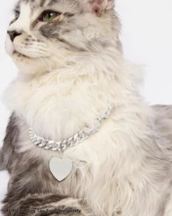 Thor Cuban Chain Pet Necklace 10.8mm - Silver 16 Thor Cuban Chain Pet Necklace 10.8mm - Silver -Melinda Maria PDP 5