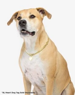 XL Heart Engravable Dog Tag - Gold 12 XL Heart Engravable Dog Tag - Gold -Melinda Maria PDP 7