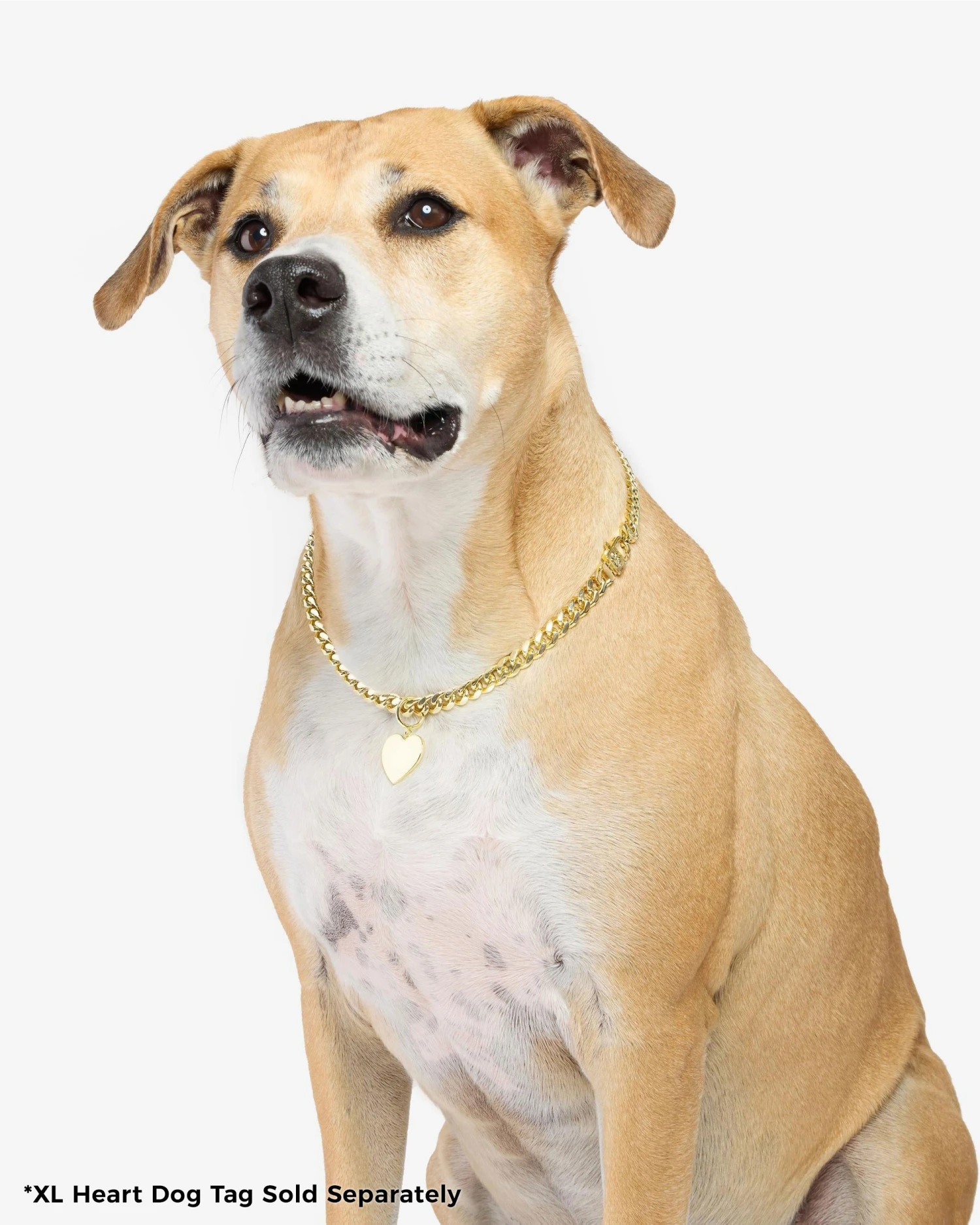 XL Heart Engravable Dog Tag - Gold 5 XL Heart Engravable Dog Tag - Gold - Image 3