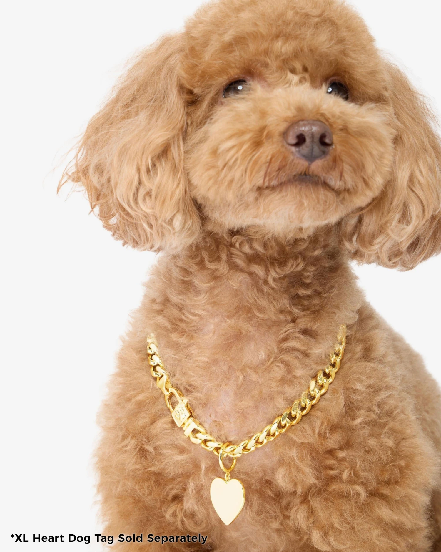 XL Heart Engravable Dog Tag - Gold 7 XL Heart Engravable Dog Tag - Gold - Image 5