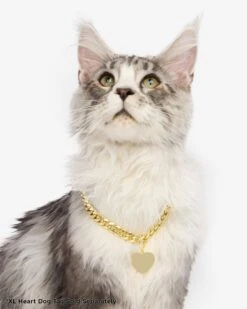 XL Heart Engravable Dog Tag - Gold 15 XL Heart Engravable Dog Tag - Gold -Melinda Maria PDP 9