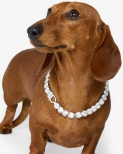 Royal Pet Tennis Necklace - Silver|White Diamondettes -Melinda Maria RoyalPetTennisNecklace PN6404SWTCZ12 E 123231 V1